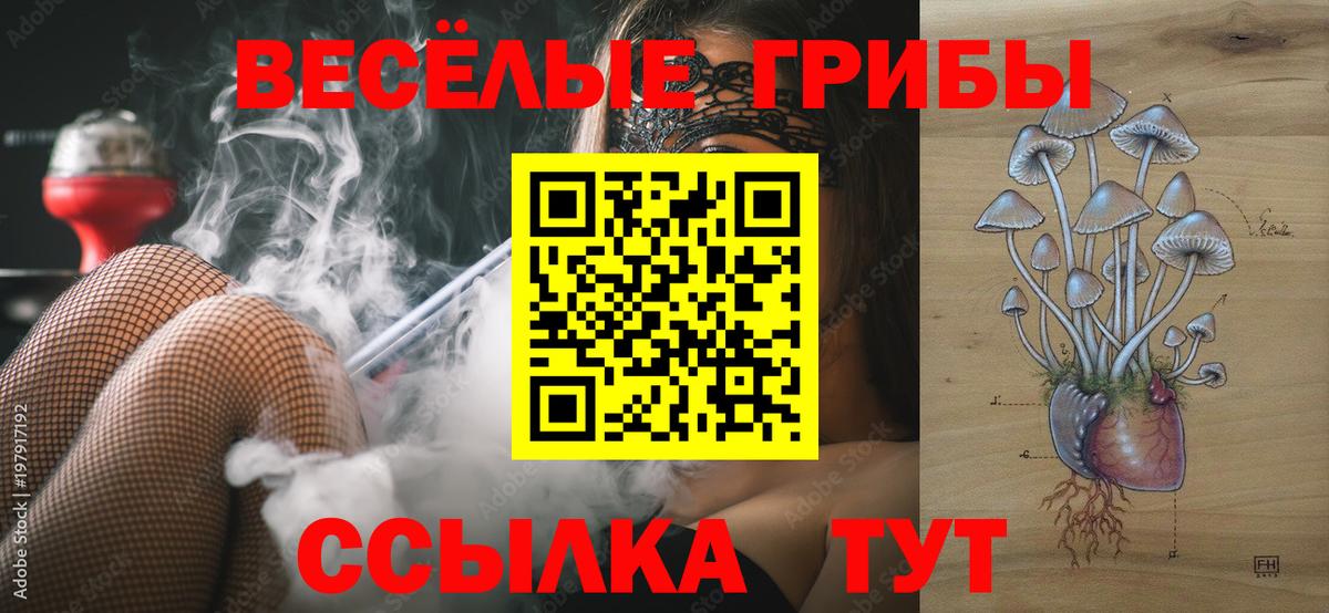 Курган  Псилоцибиновые грибы GOLDEN TEACHER  наркота  Вход с VPN 