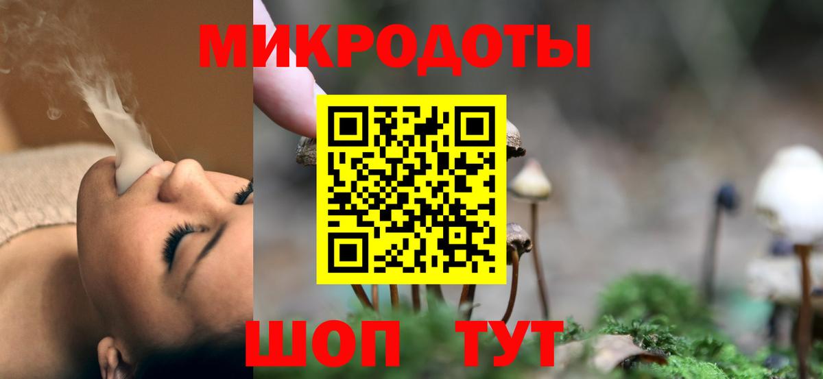 Псилоцибиновые грибы Psilocybine cubensis Курган